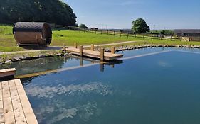 Bryntowy